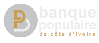 banque-populaire-gris