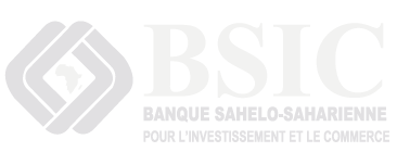 bsic-gris